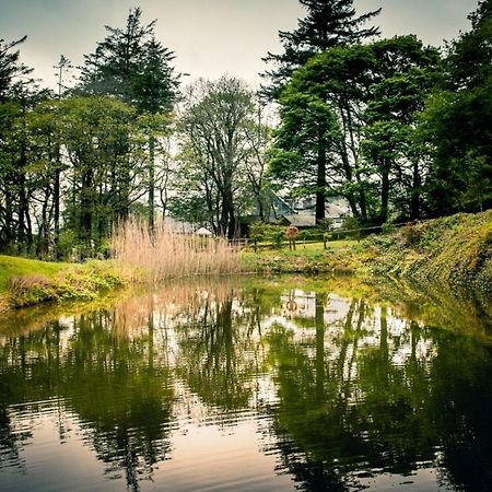 Gellifawr Woodland Retreat Hotell Pontfaen Eksteriør bilde